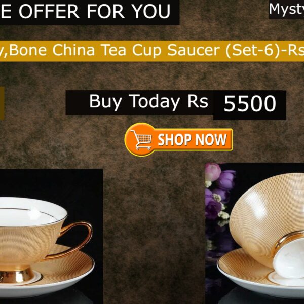 Gold Bone China Tea Cup Saucer-(SET-6)