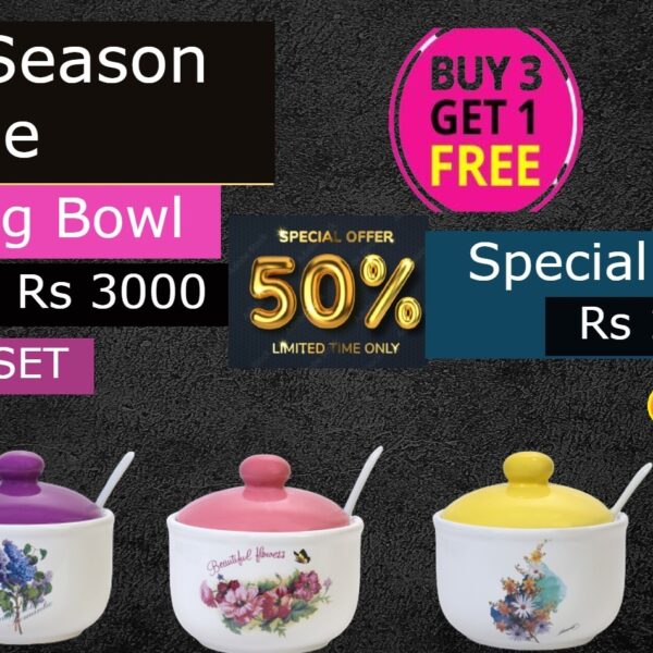 Ceramic Serving Bowl Set With Lid Spoon